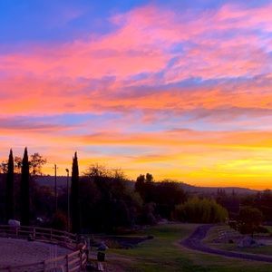 Meet your Posher, Francys